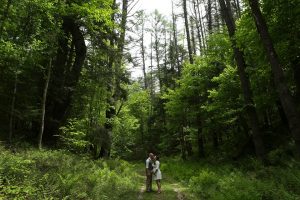 The happy couple, surrounded by forest